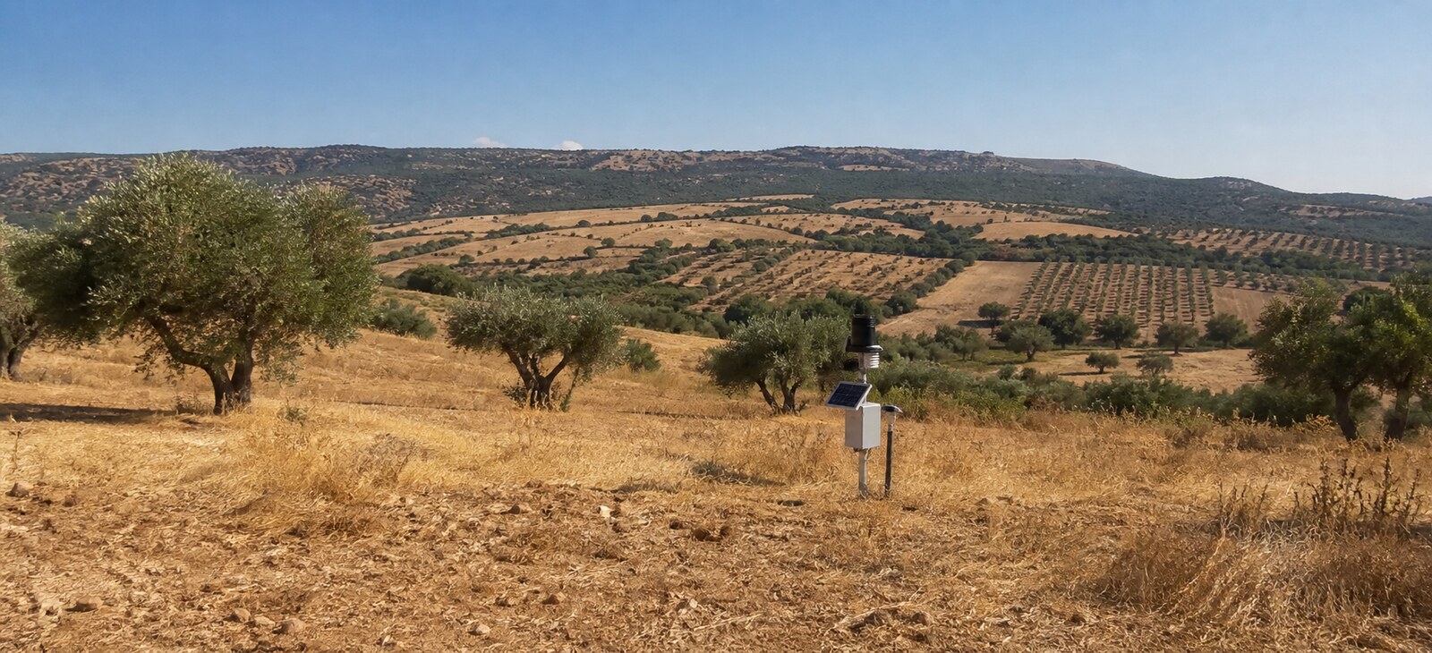 Digital drought monitoring and climate resilience in a Mediterranean landscape