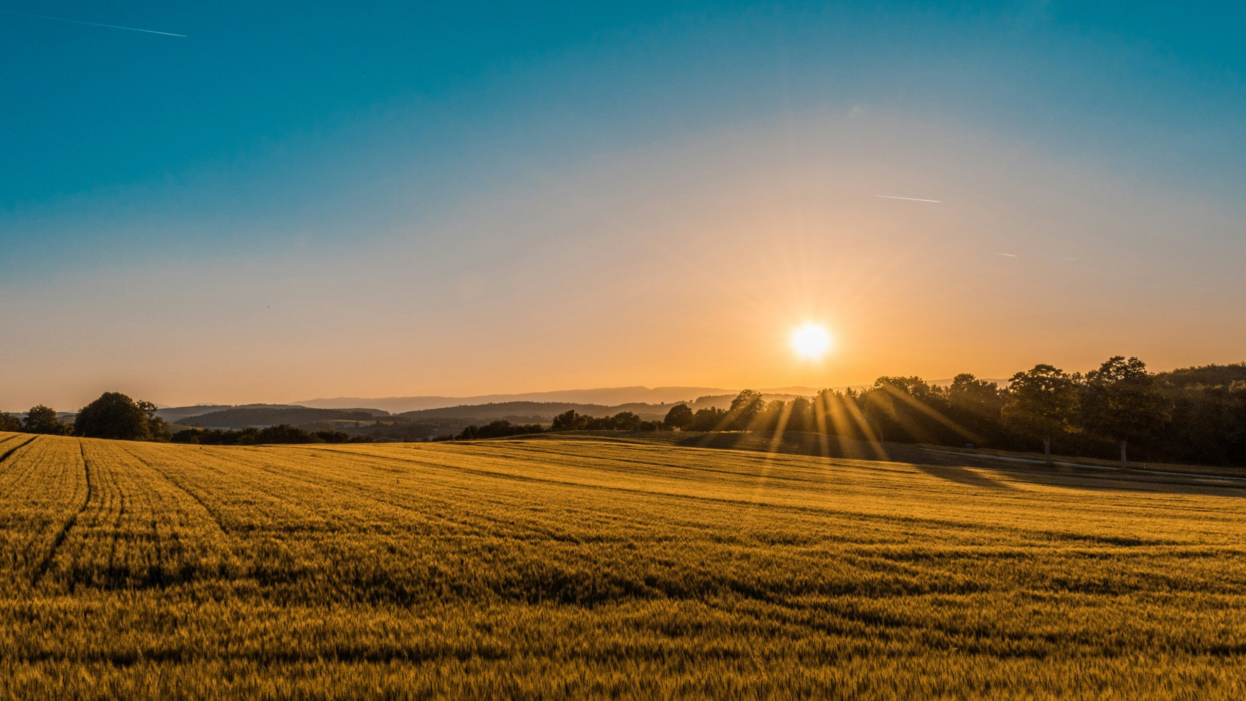 International Sun Day