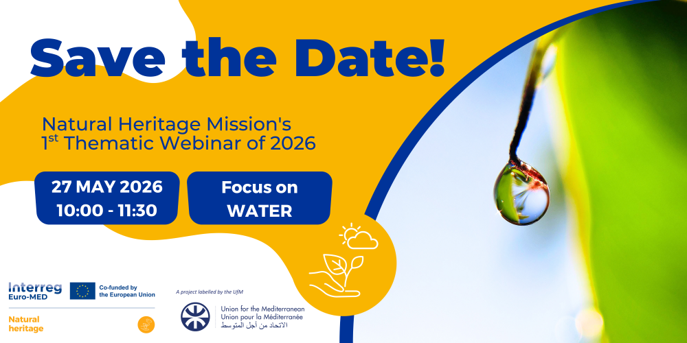 Webinar: “Water Challenges and Opportunities in the Mediterranean”
